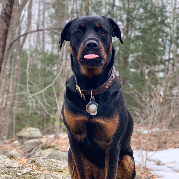 Meet your Posher, Stefany - Picture 1 of 1